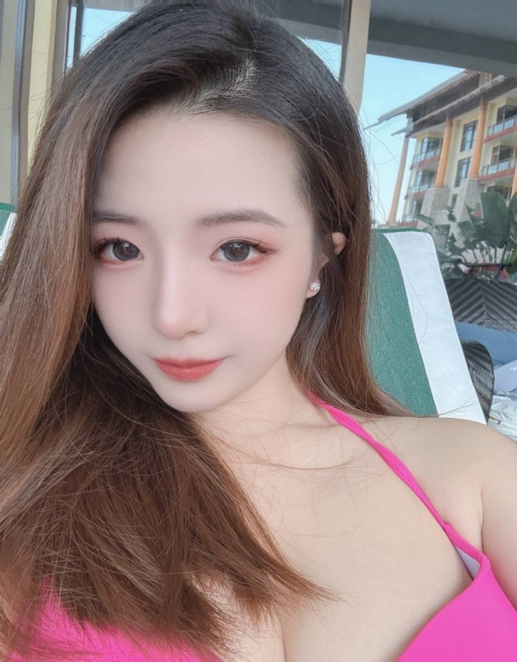 欧美人动物ppt免费模板大全,免费观看高清视频